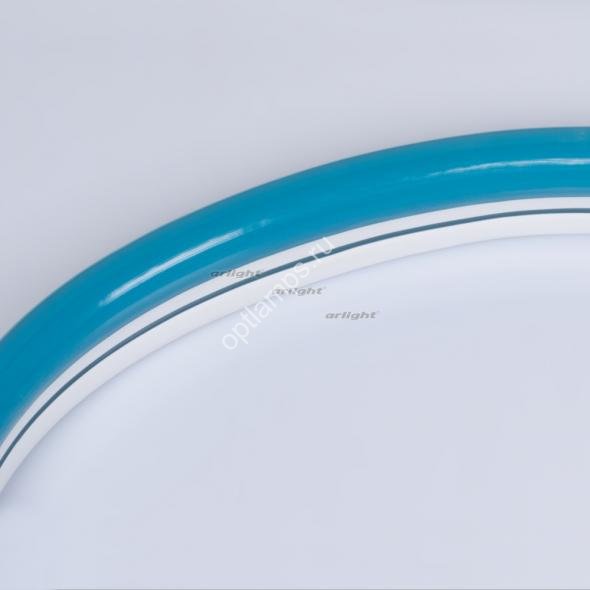 Образец Гибкий неон ARL-CF2835-Classic-220V Blue (26x15mm)-1m