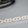Лента MICROLED-5000 24V White5500 8mm (2216, 300 LED/m, LUX)