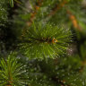 Искусственная елка Лесная Красавица 215 cм