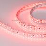 Лента RT 2-5000 24V Red 2x2 (3528, 1200 LED, LUX) (ARL, 19.2 Вт/м, IP20)