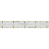 Лента S2-2500 24V White 6000K 34mm (2835, 280 LED/m, LUX) (ARL, 25 Вт/м, IP20)