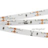 Лента RS 2-5000 12V Day5000 (3014, 60 LED/m, LUX) (Arlight, 4.8 Вт/м, IP20)