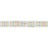 Лента RT 2-5000 24V White6000 2x2 (5060, 720 LED, LUX) (ARL, 34.4 Вт/м, IP20)